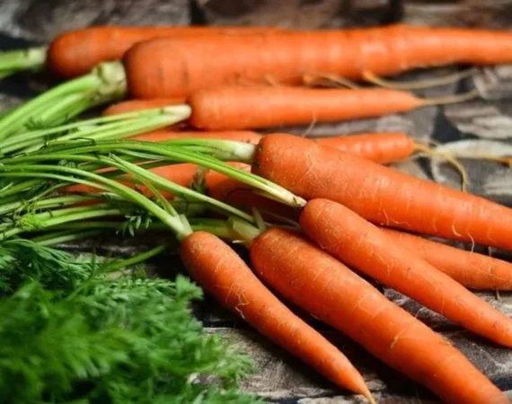 Carrots are Beneficial for Men’s Health