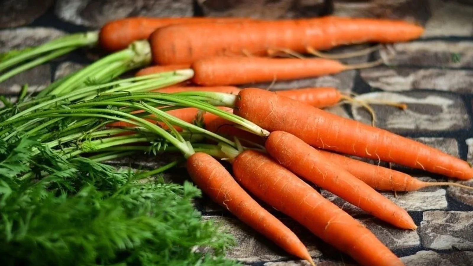 Carrots are Beneficial for Men’s Health