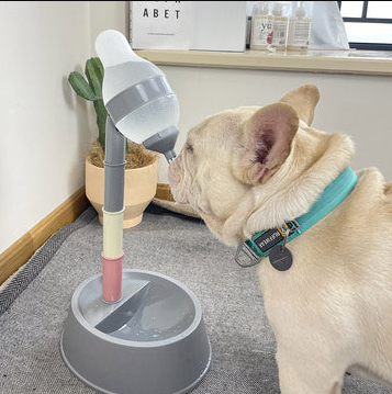How Automatic Pet Feeders Are Revolutionizing Pet Care in 2024