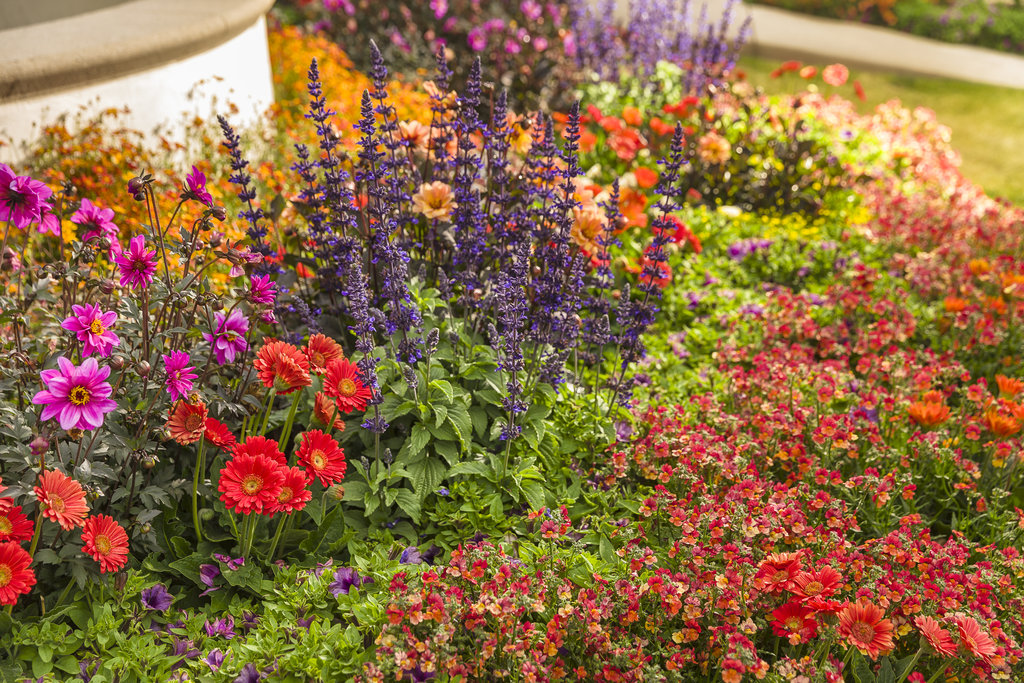 How Do You Choose the Right Plants for Your Garden?