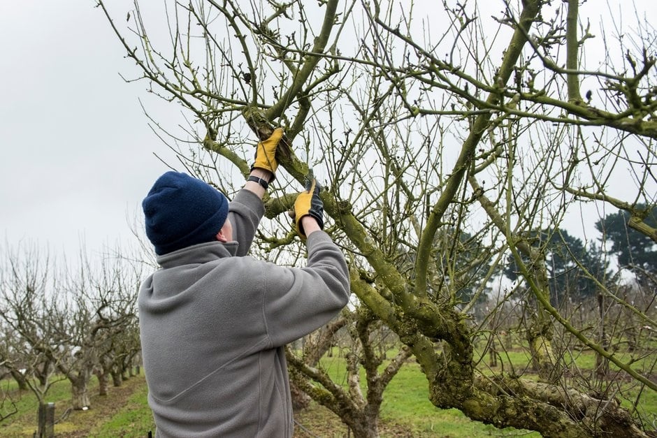 How Do You Prepare Your Garden for Winter?