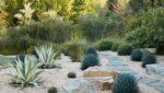 How Do I Create a Drought-Resistant Flower Garden