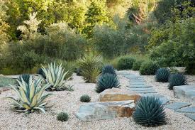 How Do I Create a Drought-Resistant Flower Garden