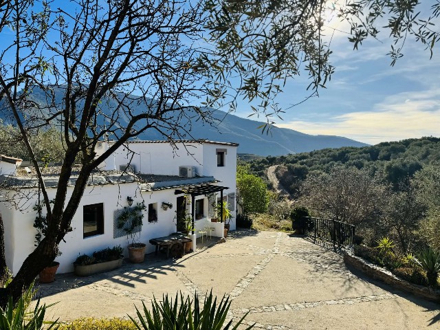 Rural House for Group Stays in Andalucía A Perfect Getaway Almond-Hill-House