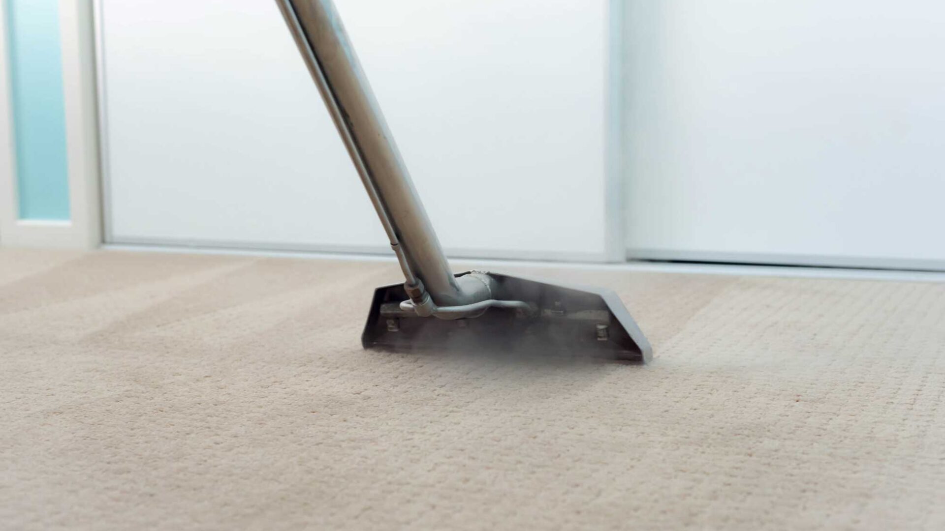 Carpet Cleaning Services