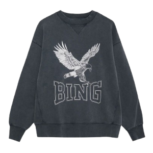 Anine Bing sweatshirts