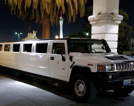 How Do Reliable Limos Provide Hassle-Free Cruise Connections