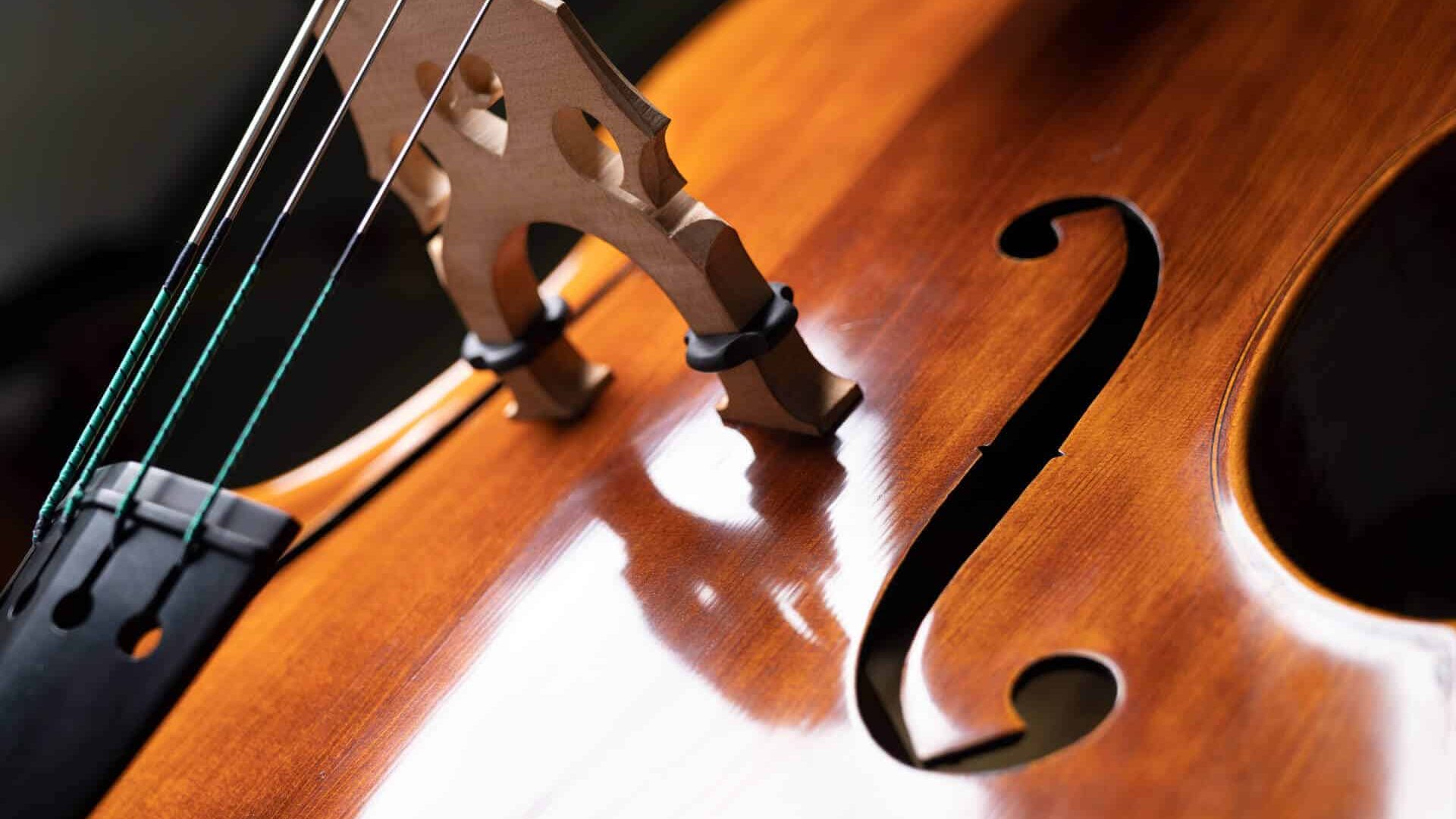 How Do These Violins Enhance the Player's Experience