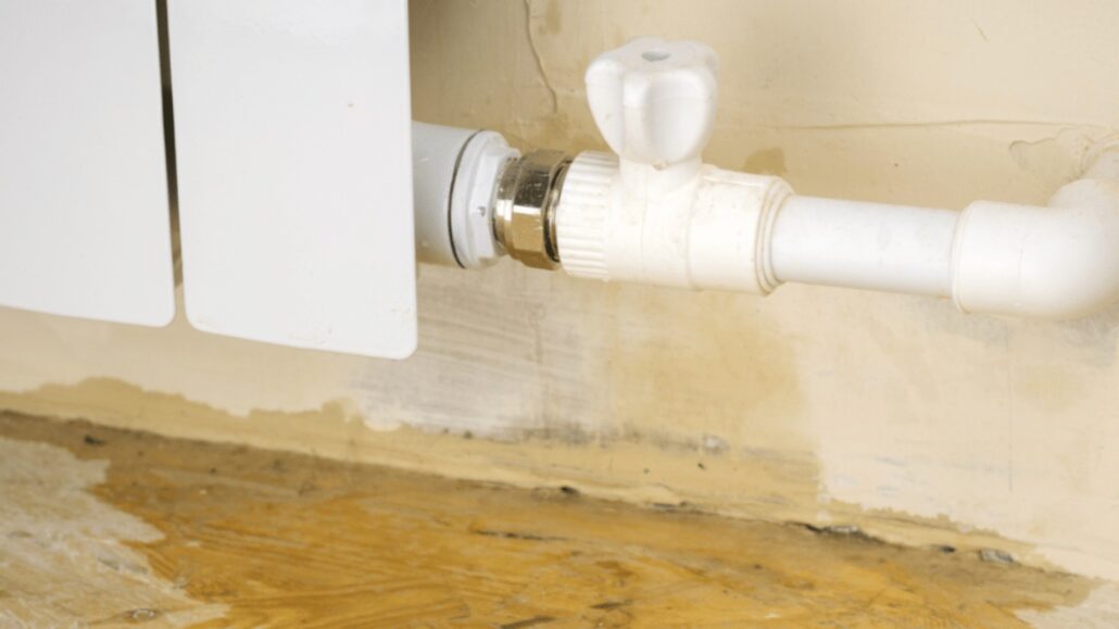 How Do Professionals Spot Hidden Plumbing Leaks in Home