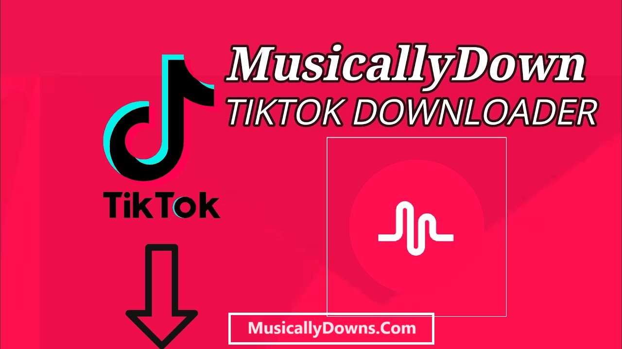 MusicallyDown - Download Video Tiktok Without Watermark